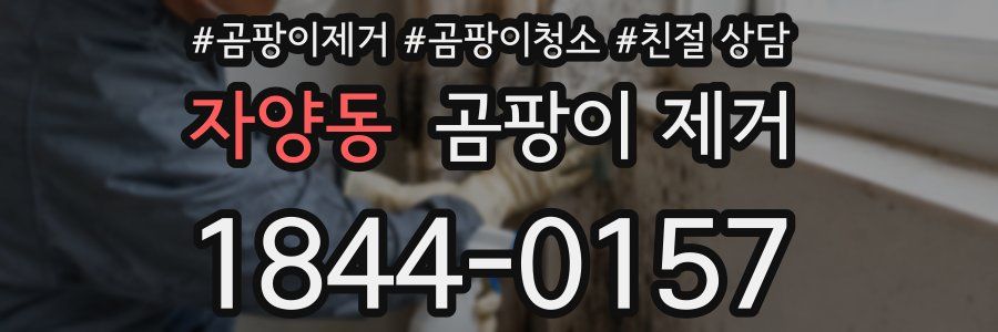 자양동 곰팡이 제거