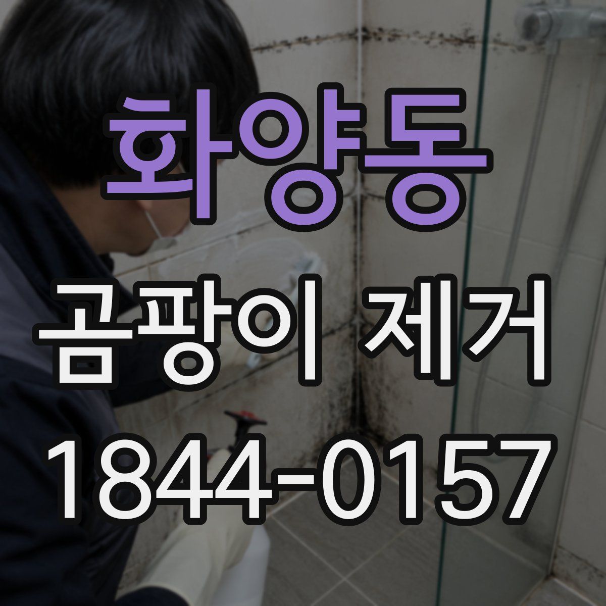 화양동 곰팡이 제거