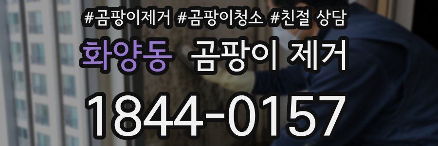 화양동 곰팡이 제거