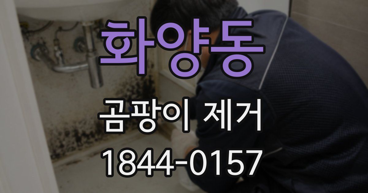 화양동 곰팡이 제거