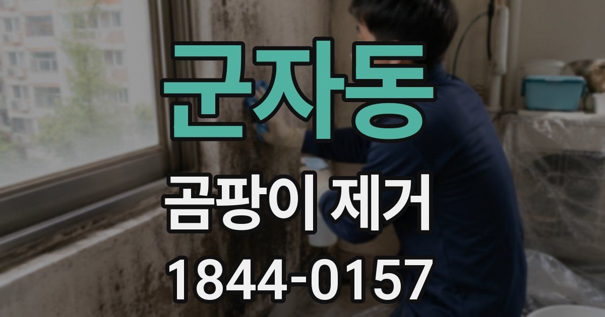 군자동 곰팡이 제거