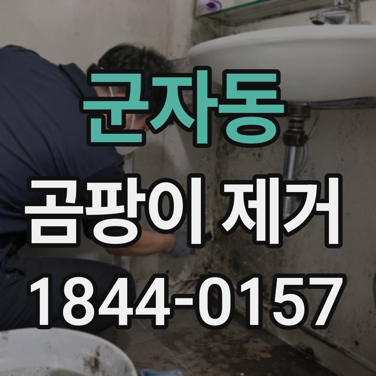 군자동 곰팡이 제거