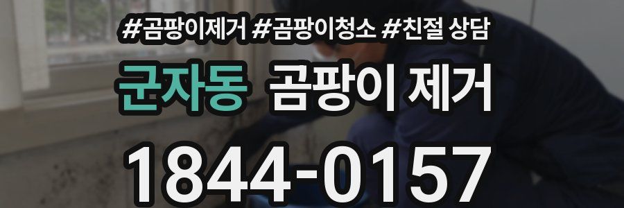 군자동 곰팡이 제거