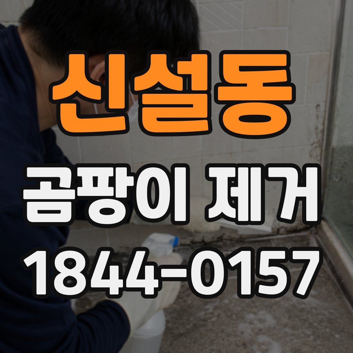 신설동 곰팡이 제거