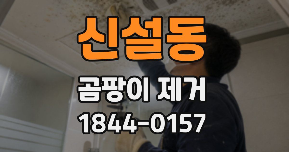 신설동 곰팡이 제거