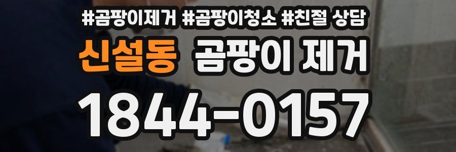 신설동 곰팡이 제거