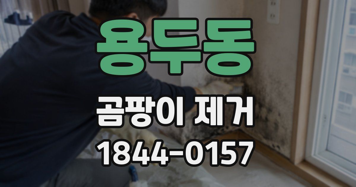용두동 곰팡이 제거
