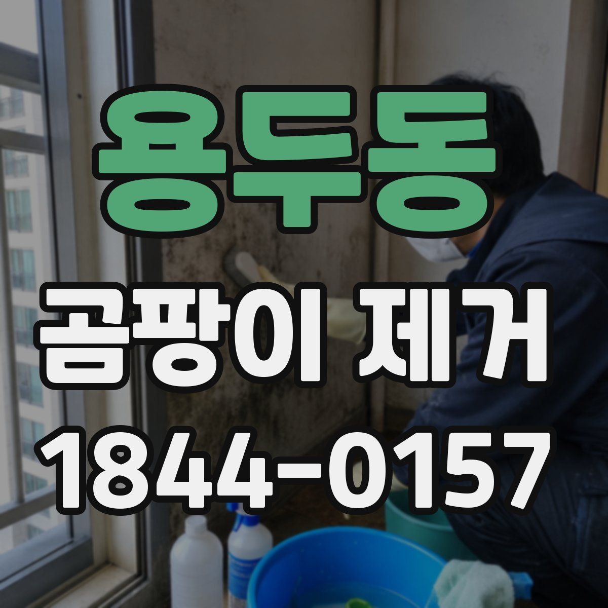 용두동 곰팡이 제거