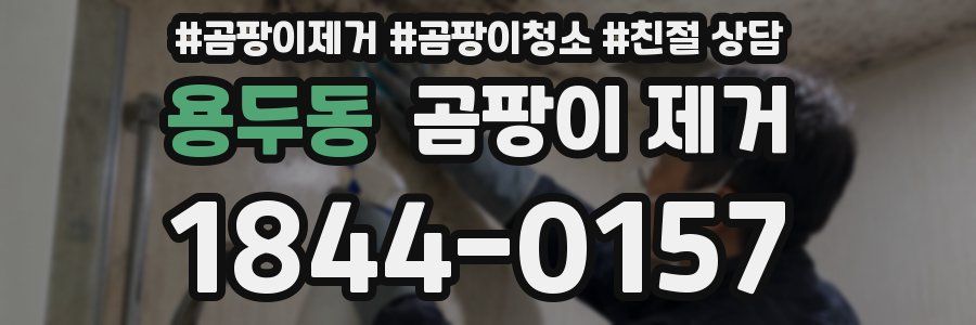 용두동 곰팡이 제거