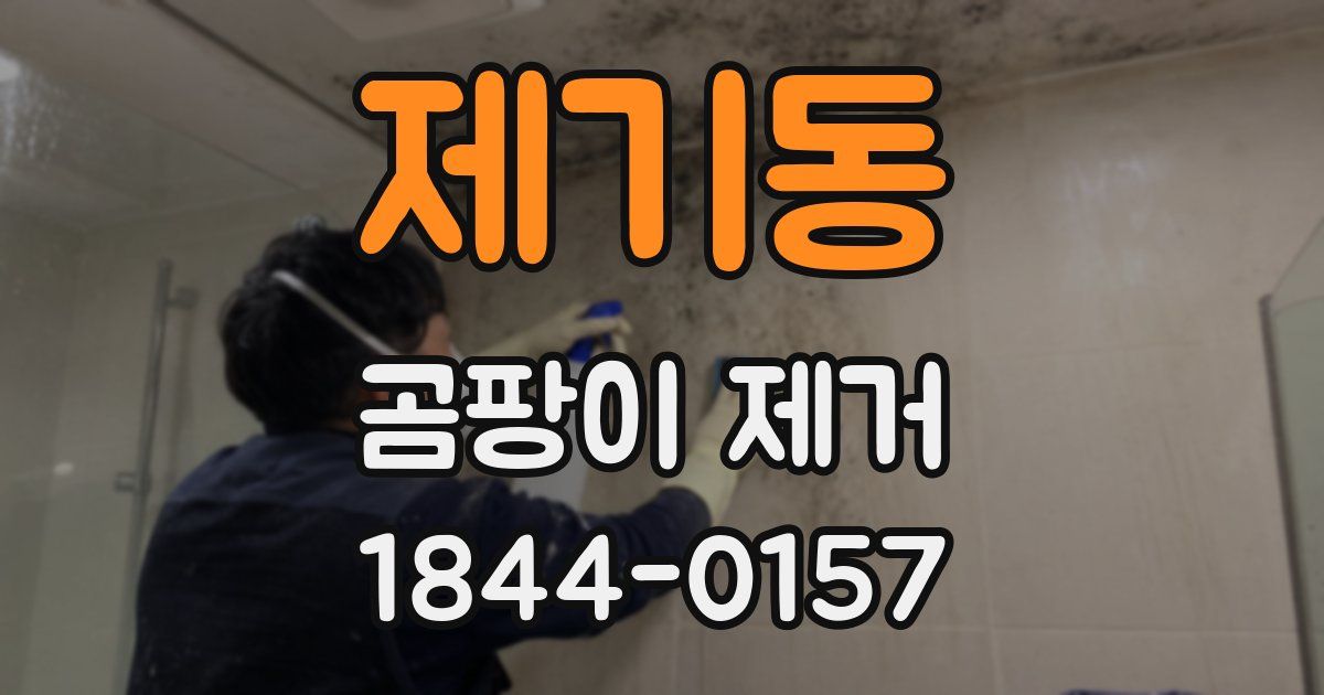 제기동 곰팡이 제거