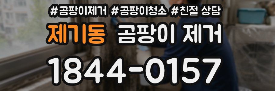 제기동 곰팡이 제거