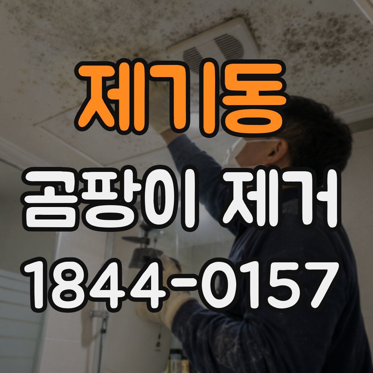 제기동 곰팡이 제거