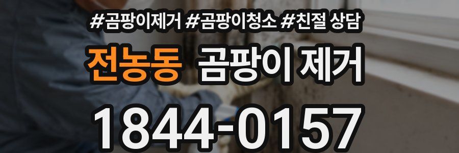 전농동 곰팡이 제거