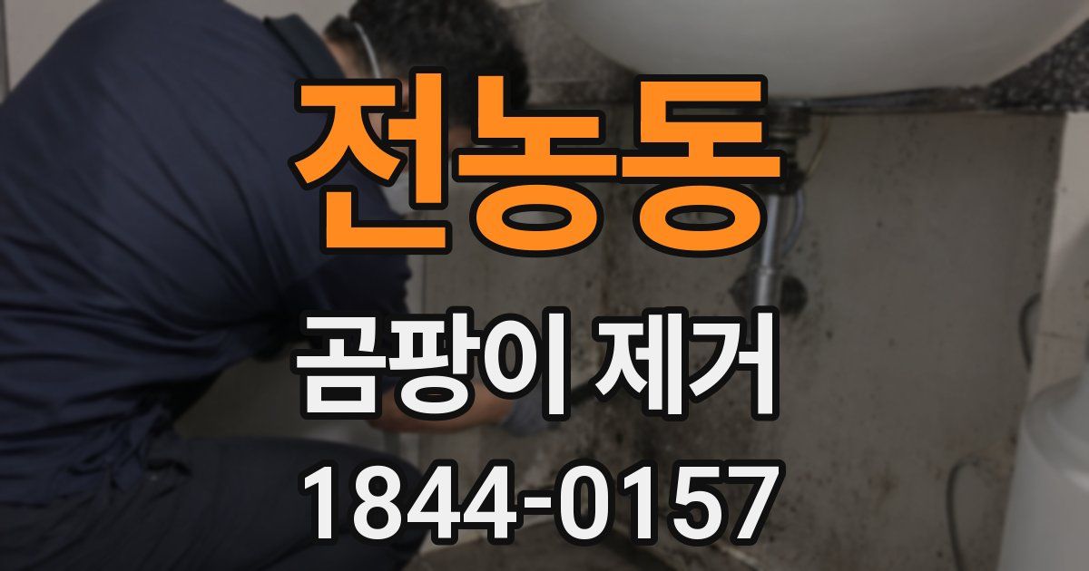 전농동 곰팡이 제거