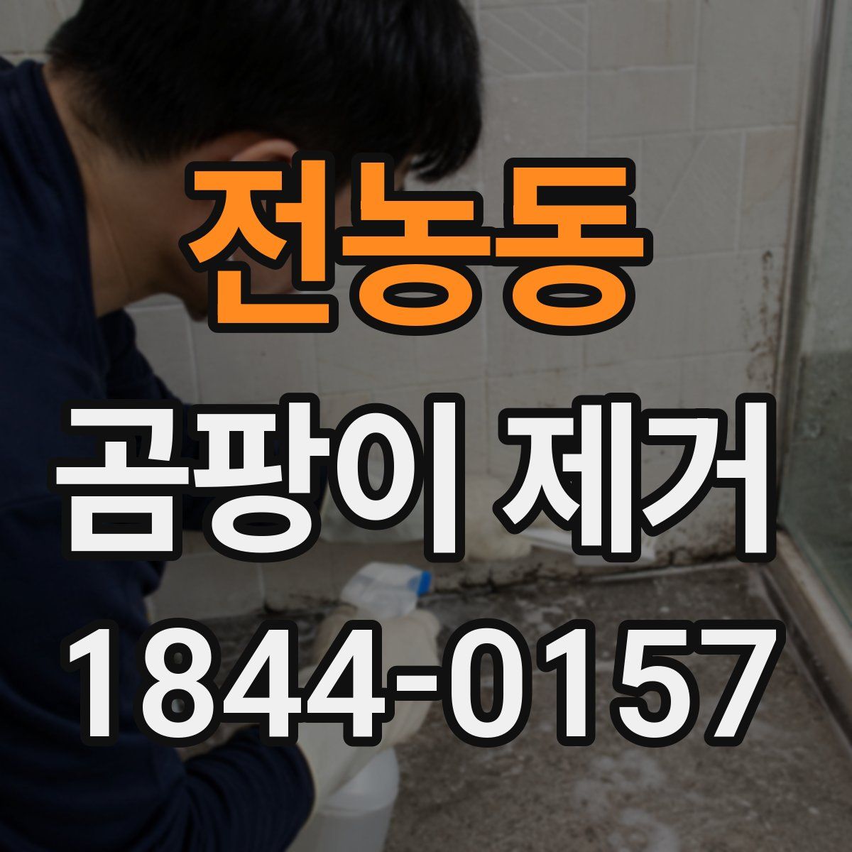 전농동 곰팡이 제거