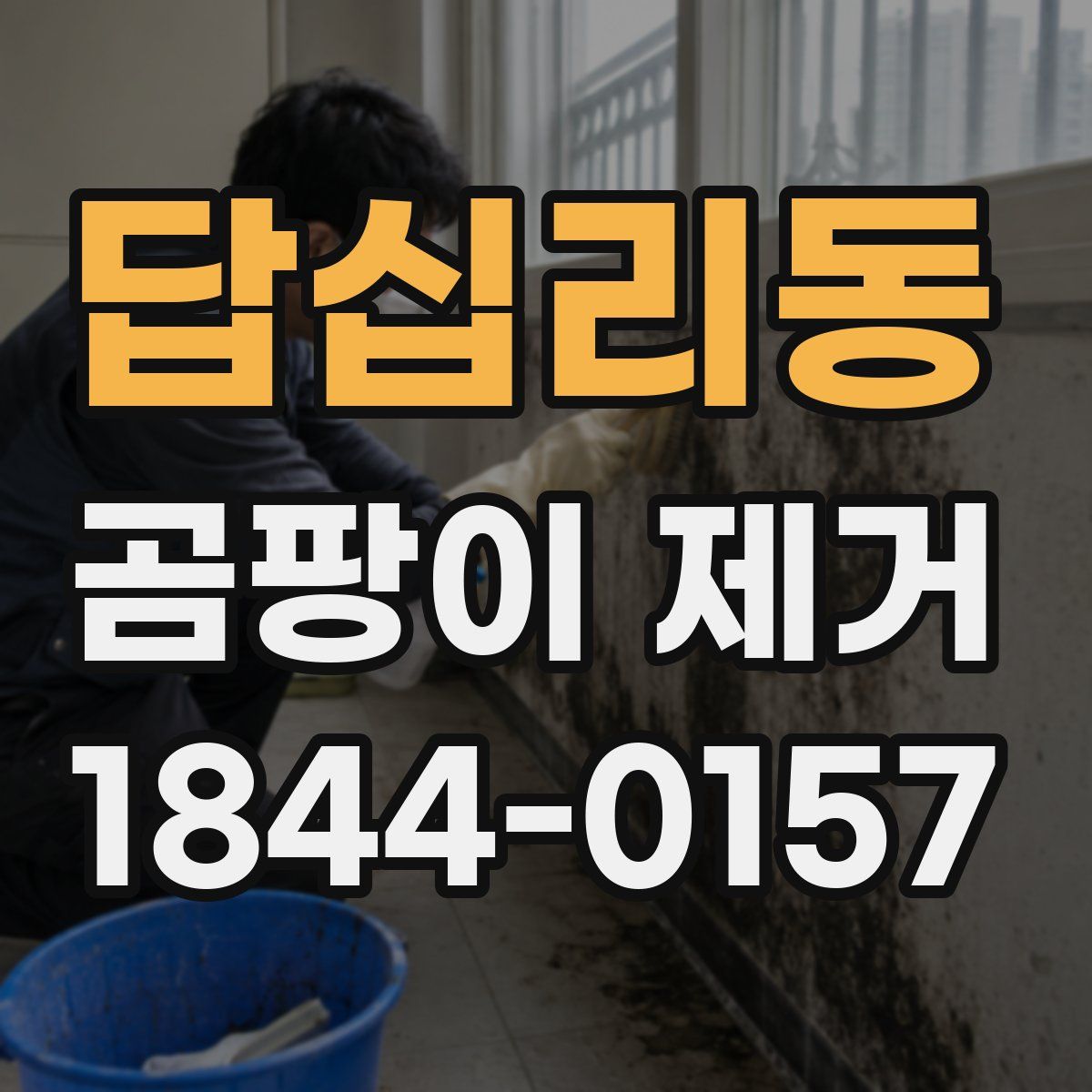 답십리동 곰팡이 제거