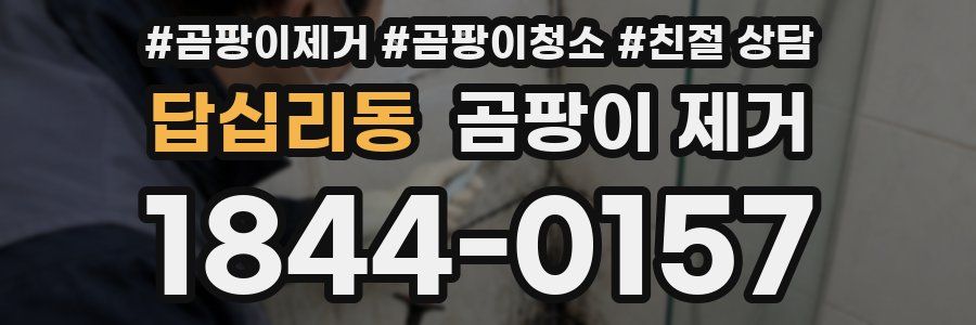 답십리동 곰팡이 제거