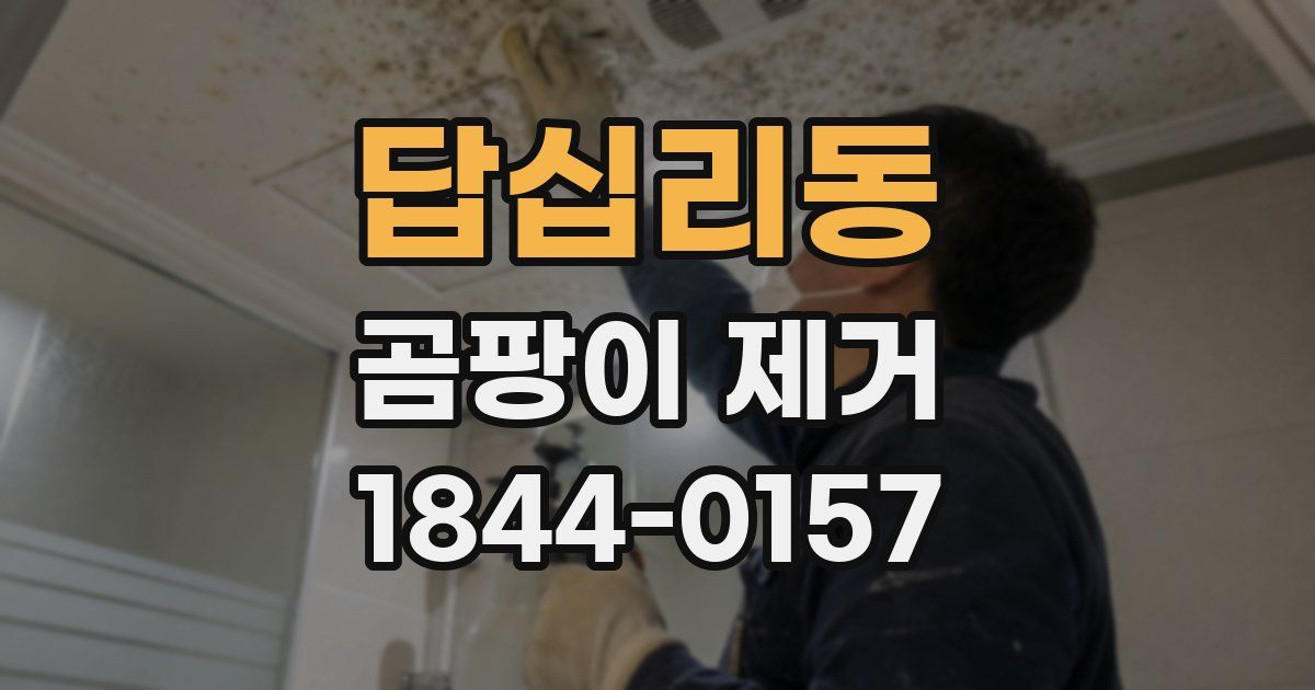 답십리동 곰팡이 제거