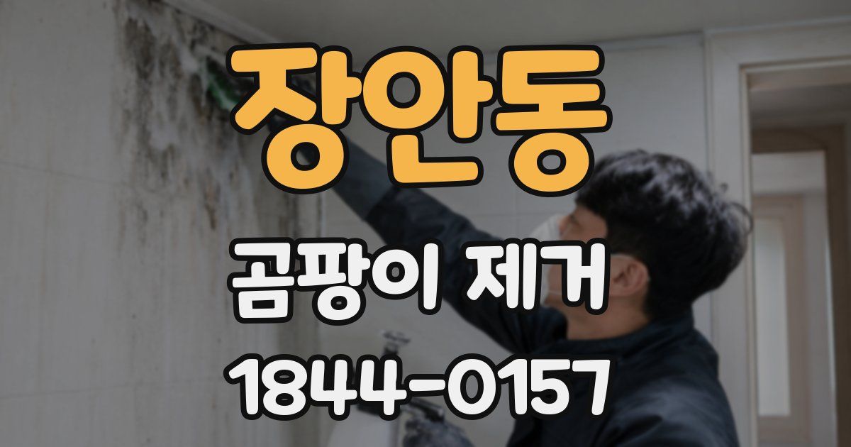 장안동 곰팡이 제거