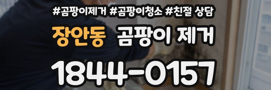 장안동 곰팡이 제거