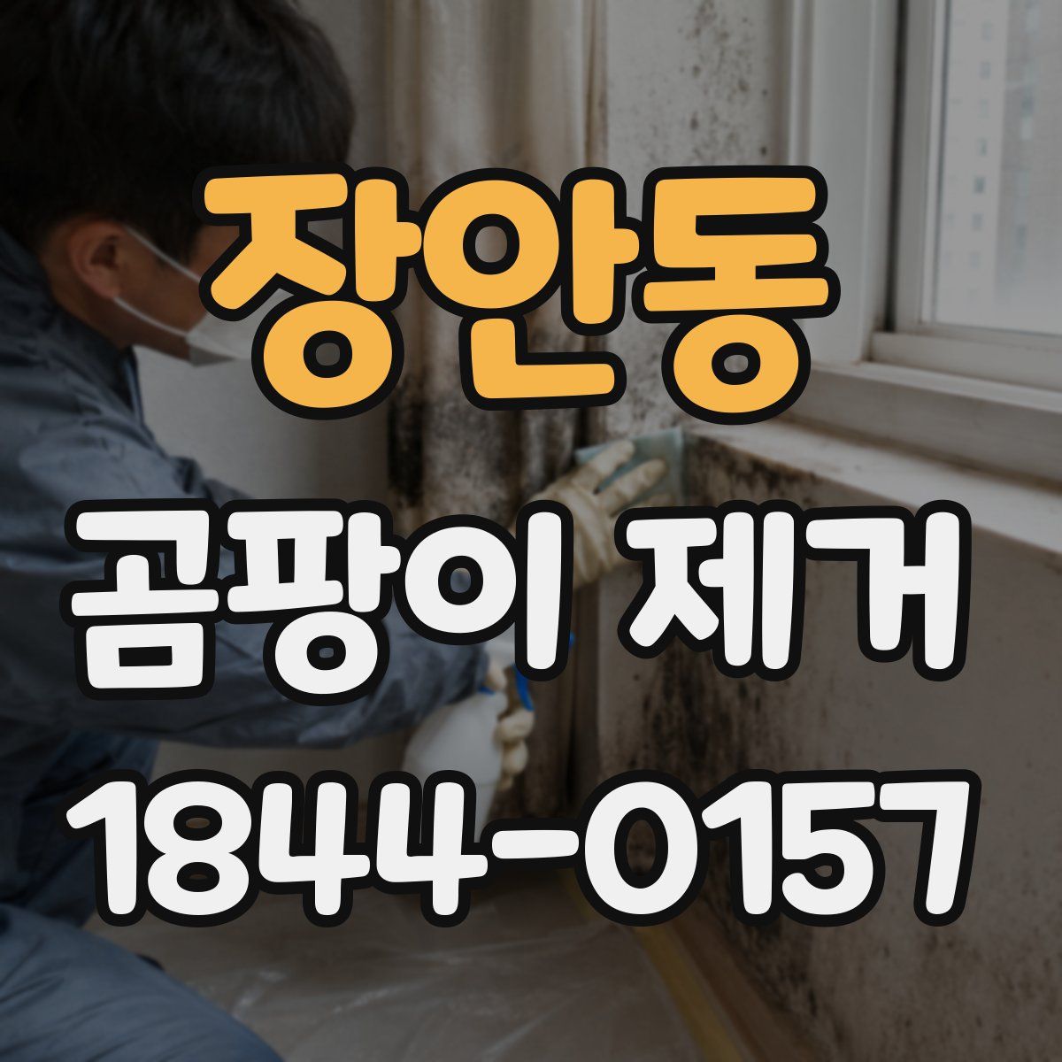 장안동 곰팡이 제거