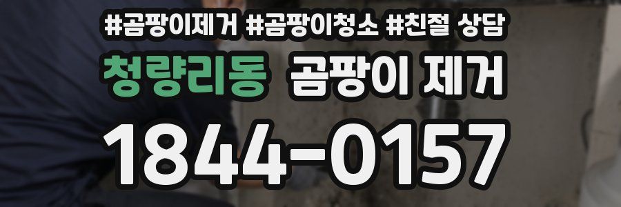 청량리동 곰팡이 제거