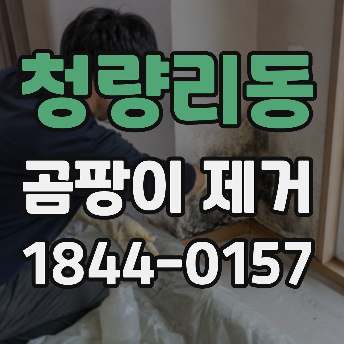 청량리동 곰팡이 제거