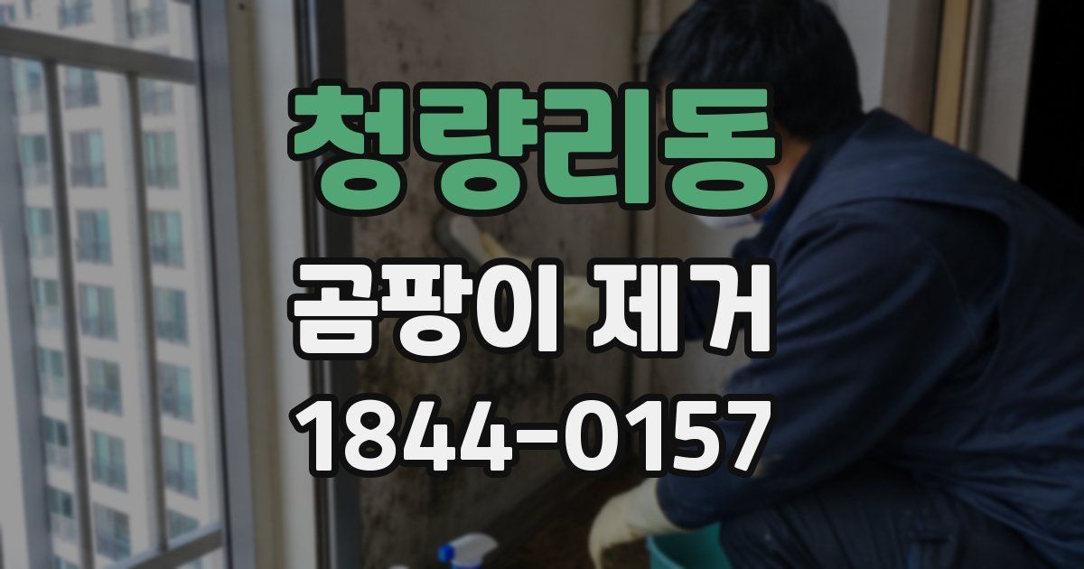 청량리동 곰팡이 제거