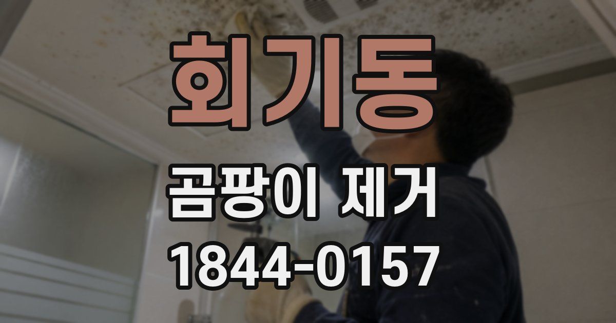 회기동 곰팡이 제거