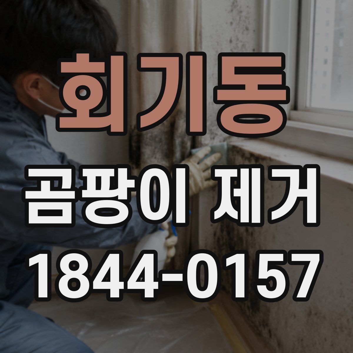 회기동 곰팡이 제거