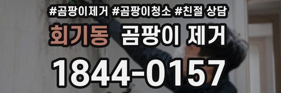 회기동 곰팡이 제거
