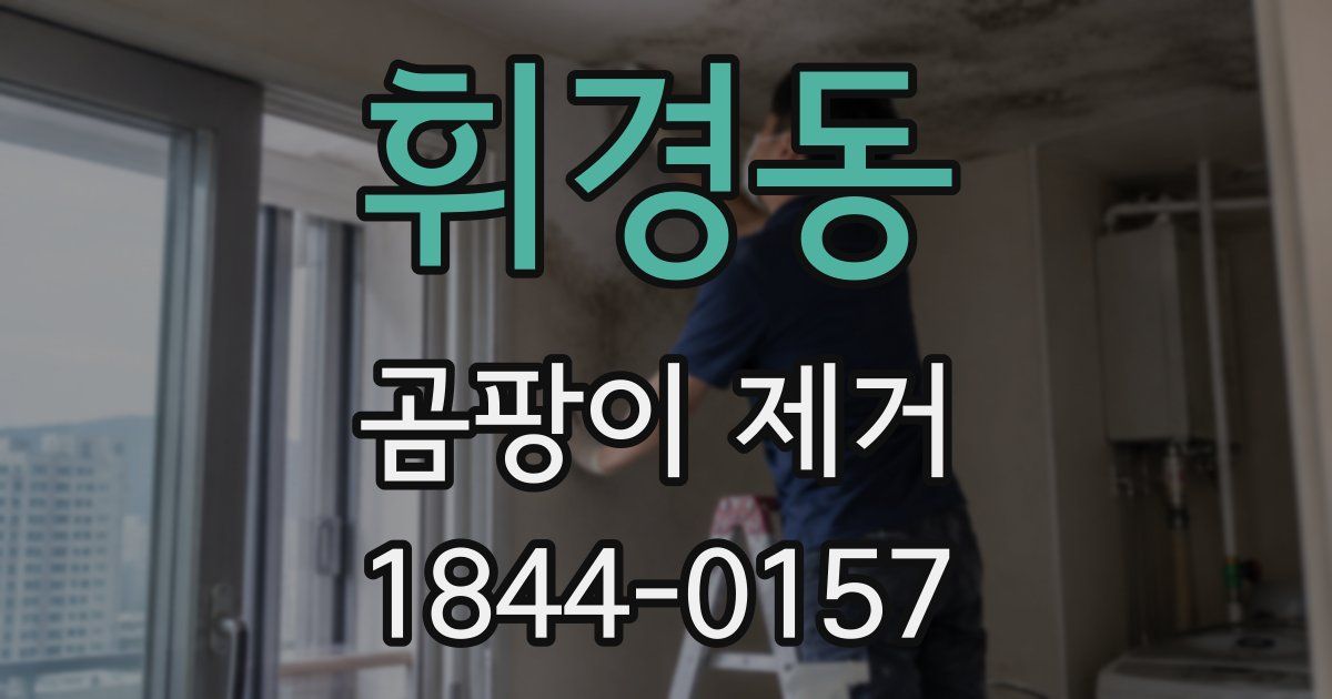 휘경동 곰팡이 제거