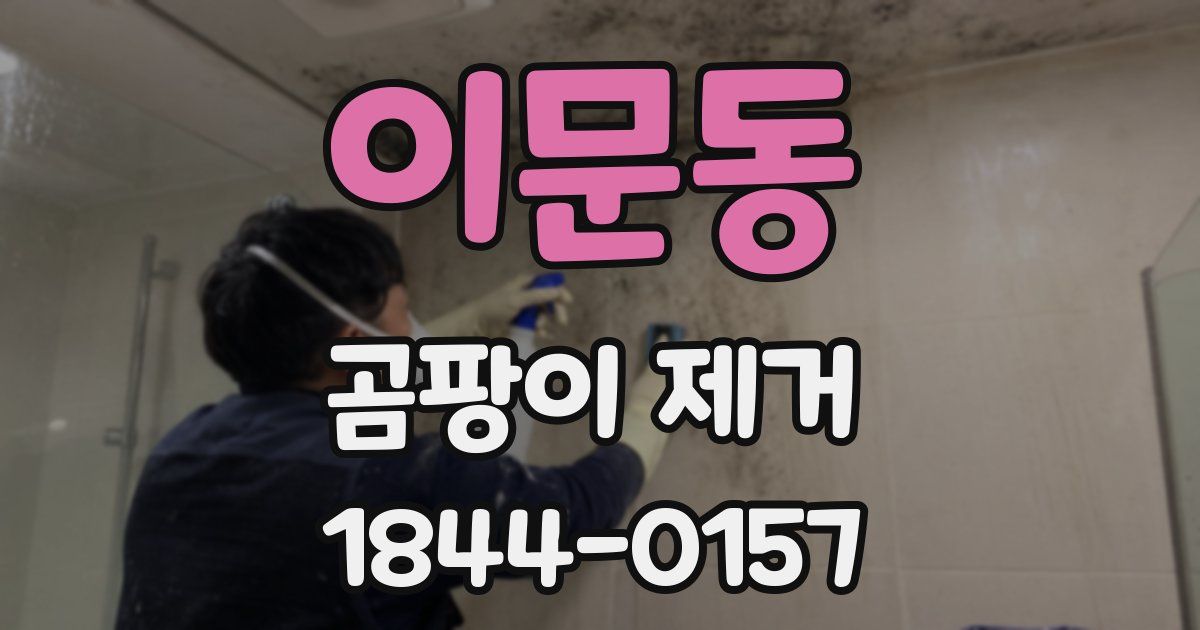 이문동 곰팡이 제거