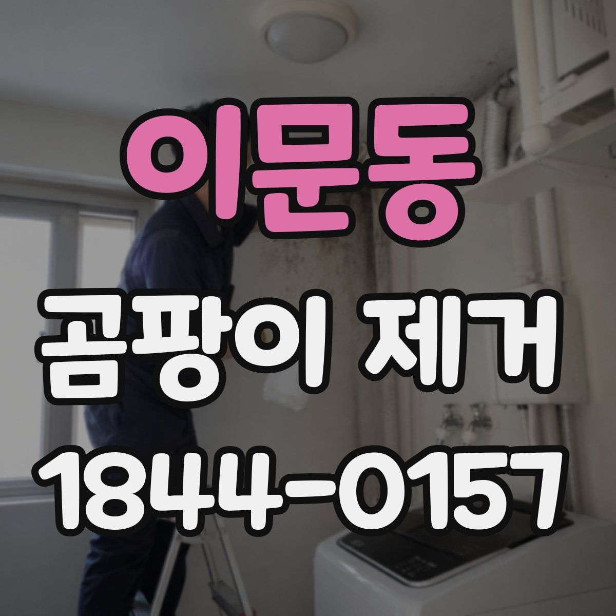 이문동 곰팡이 제거