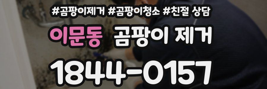 이문동 곰팡이 제거