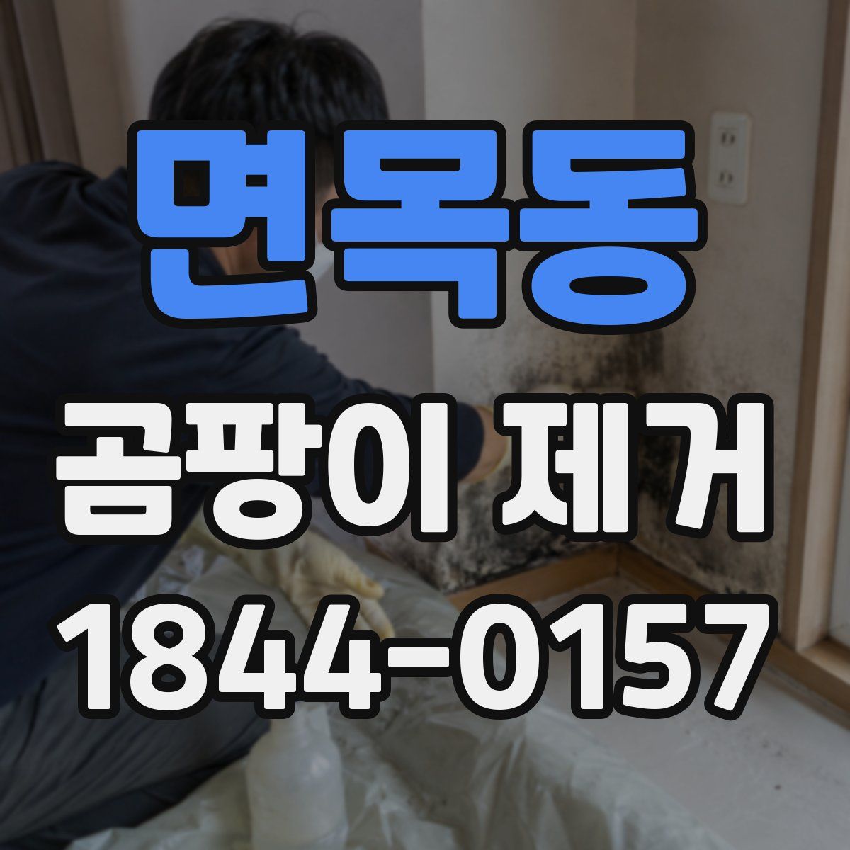 면목동 곰팡이 제거