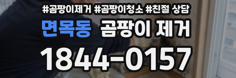 면목동 곰팡이 제거
