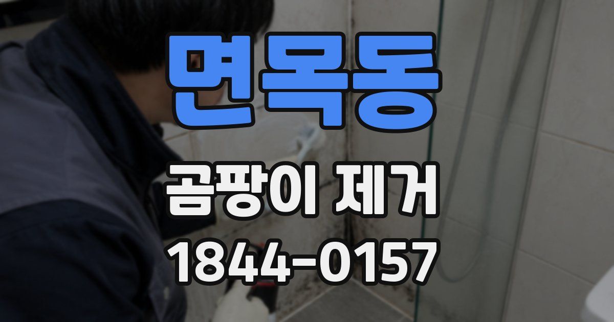 면목동 곰팡이 제거