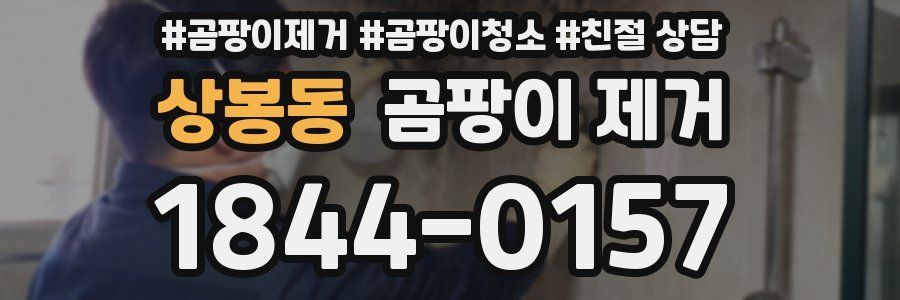 상봉동 곰팡이 제거