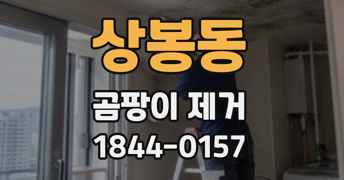 상봉동 곰팡이 제거