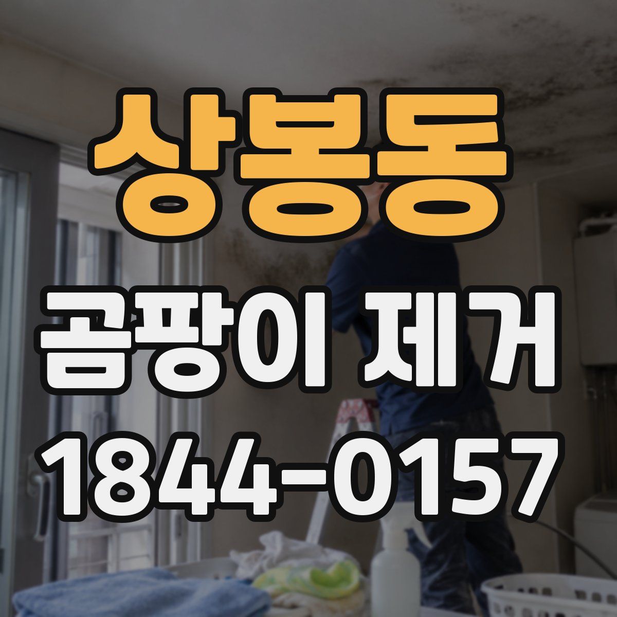 상봉동 곰팡이 제거