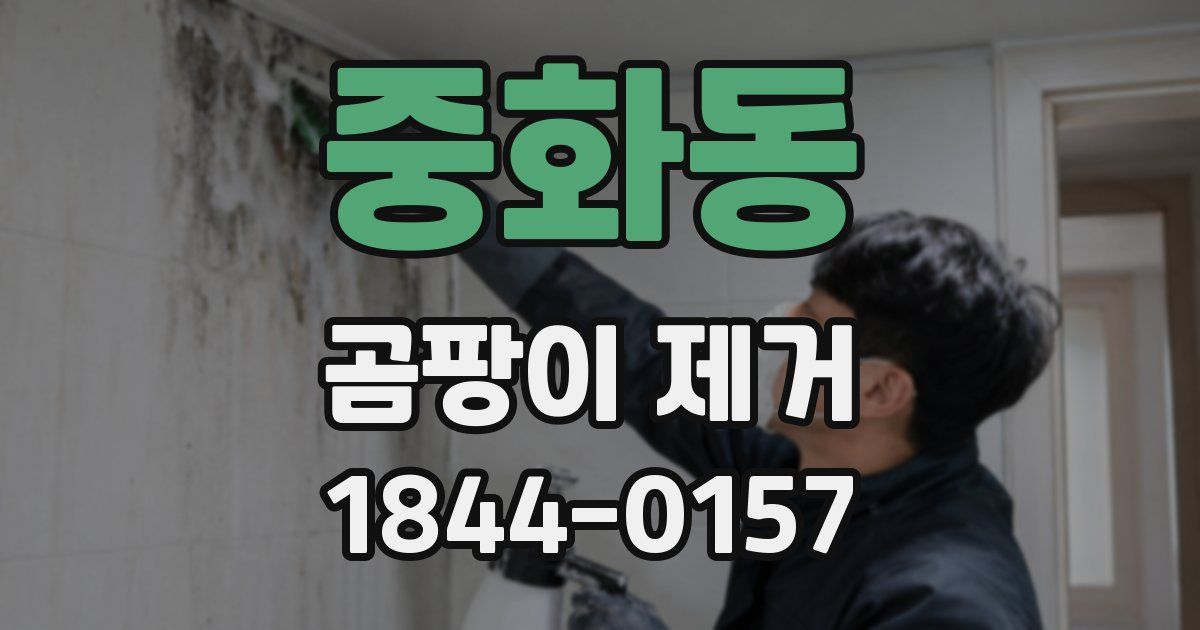 중화동 곰팡이 제거