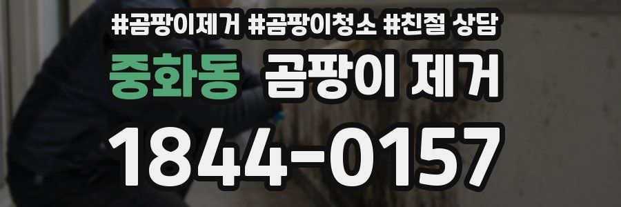 중화동 곰팡이 제거