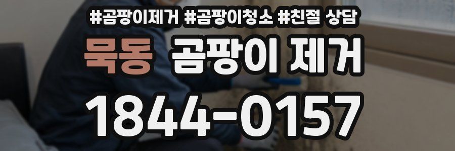 묵동 곰팡이 제거