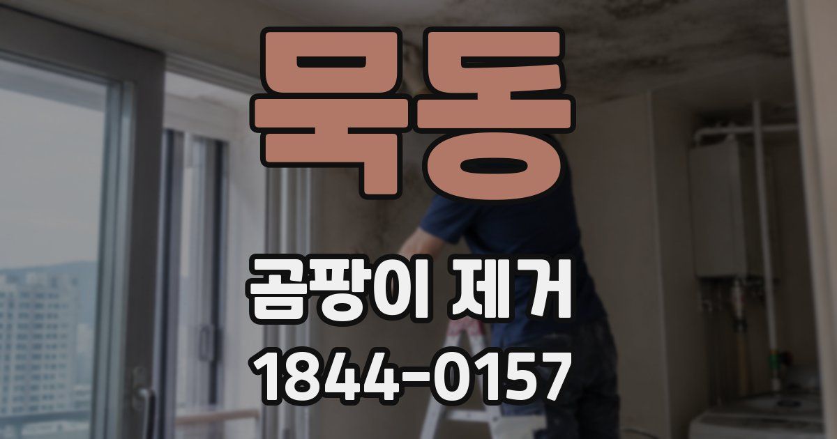 묵동 곰팡이 제거