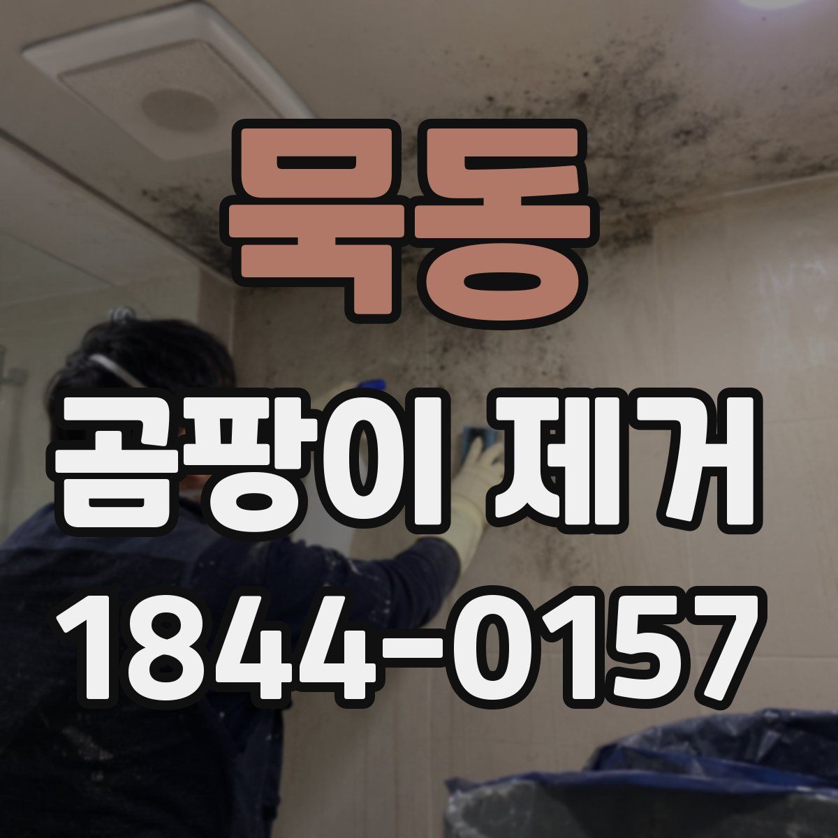 묵동 곰팡이 제거