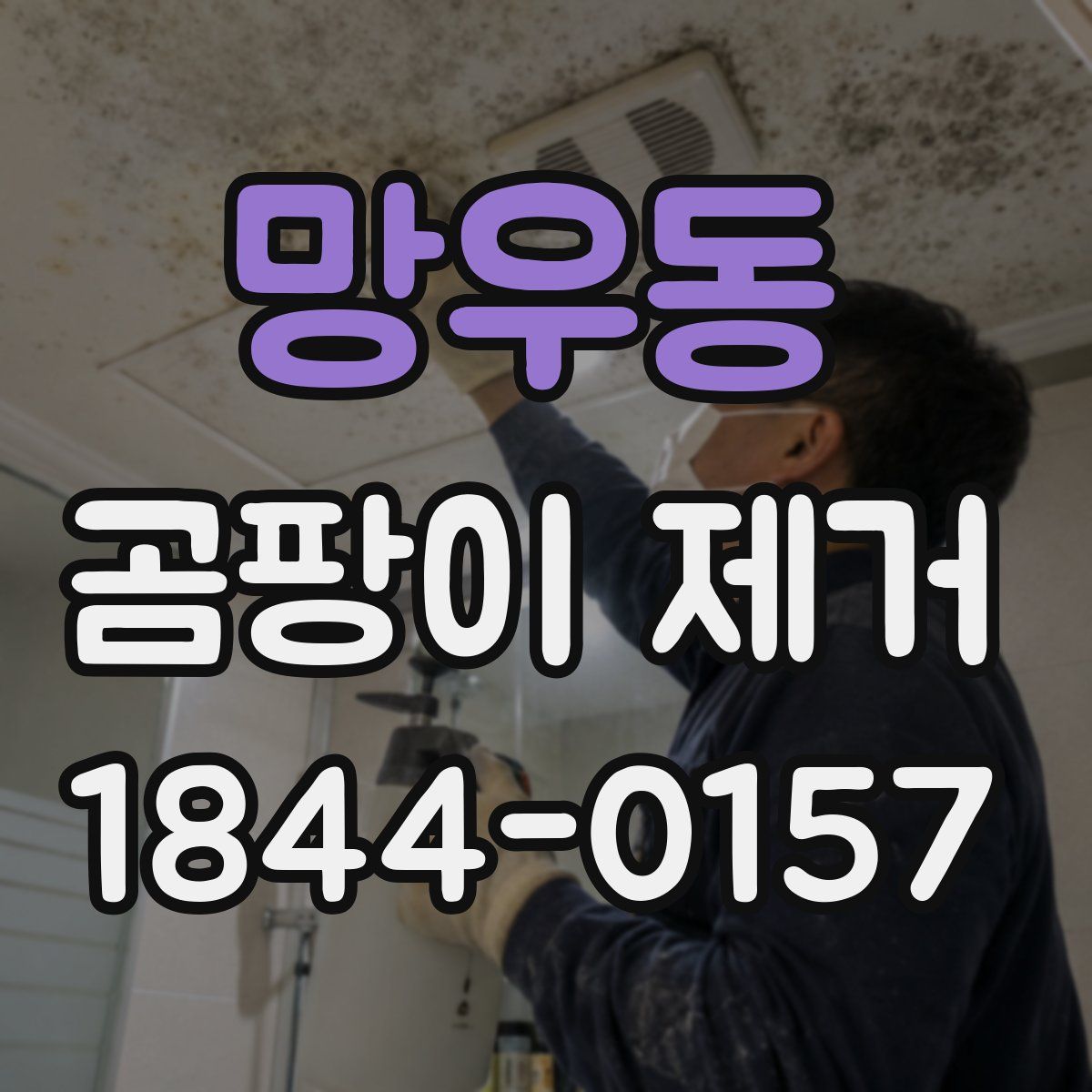 망우동 곰팡이 제거