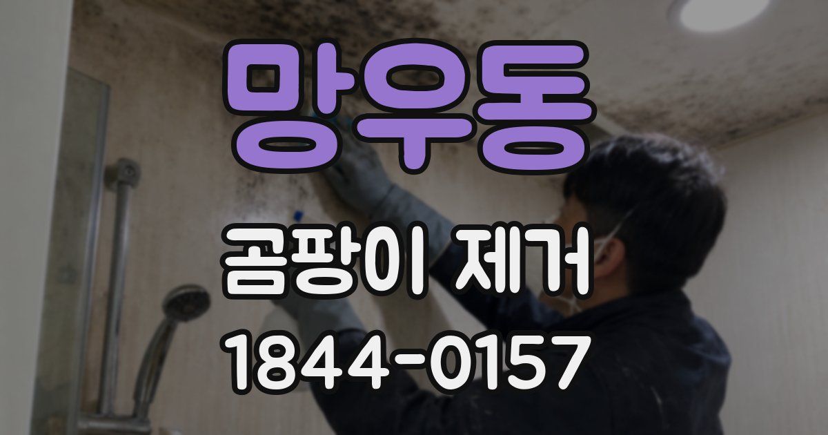 망우동 곰팡이 제거