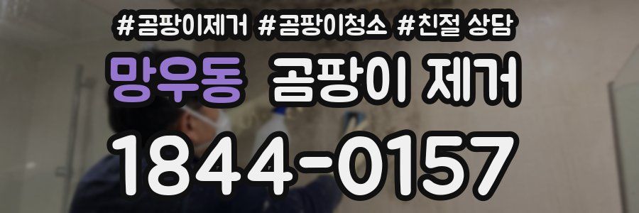 망우동 곰팡이 제거