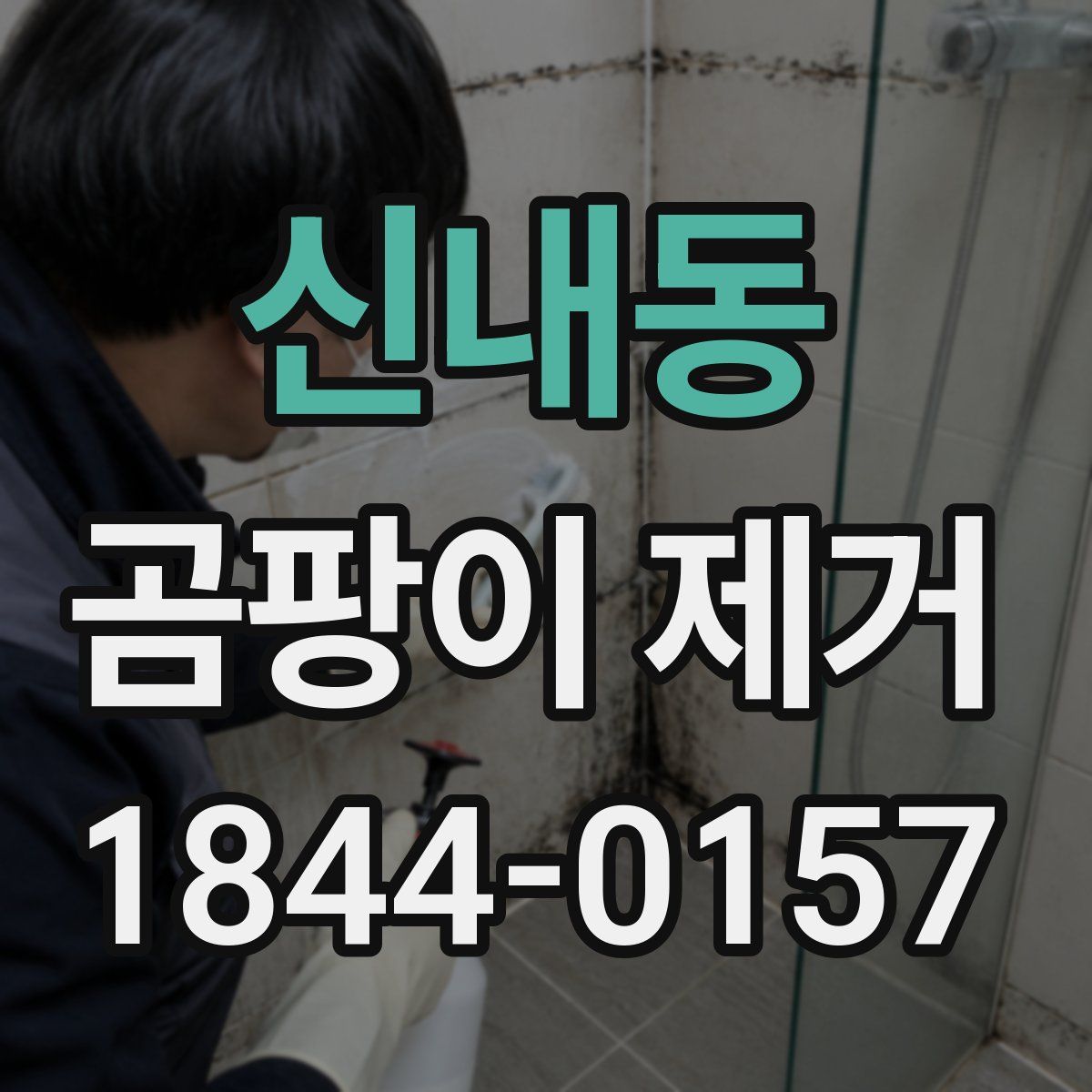 신내동 곰팡이 제거
